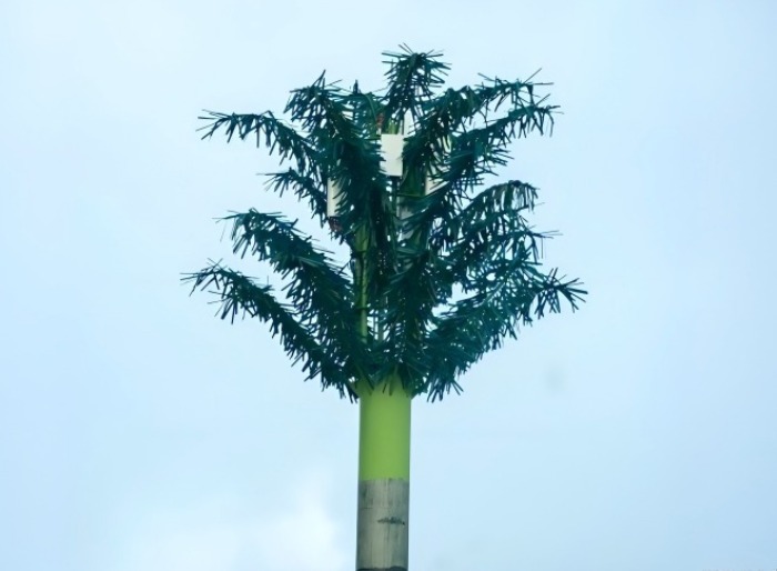 palm tree tower