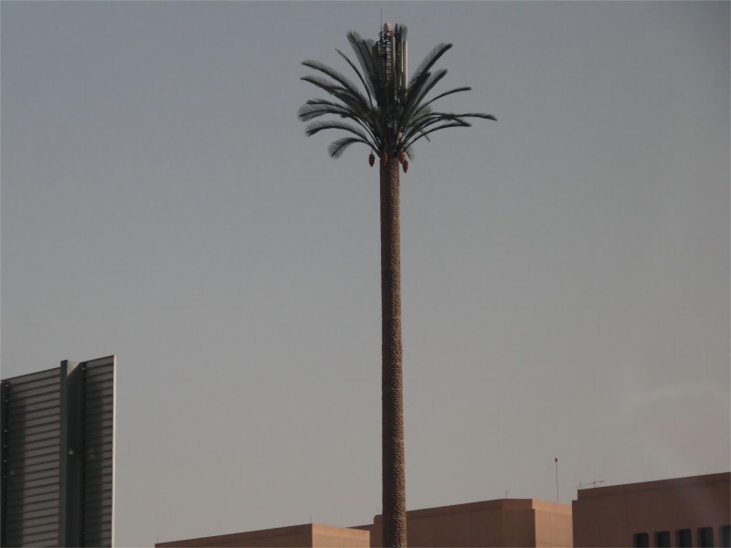 Замаскированная башня из пальм экспортируется в Саудовскую Аравию